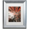 thumbnail image 1 of Trademark Fine Art "Unsteady" Canvas Art by Philippe Sainte-Laudy White Matte, Silver Frame, 1 of 4