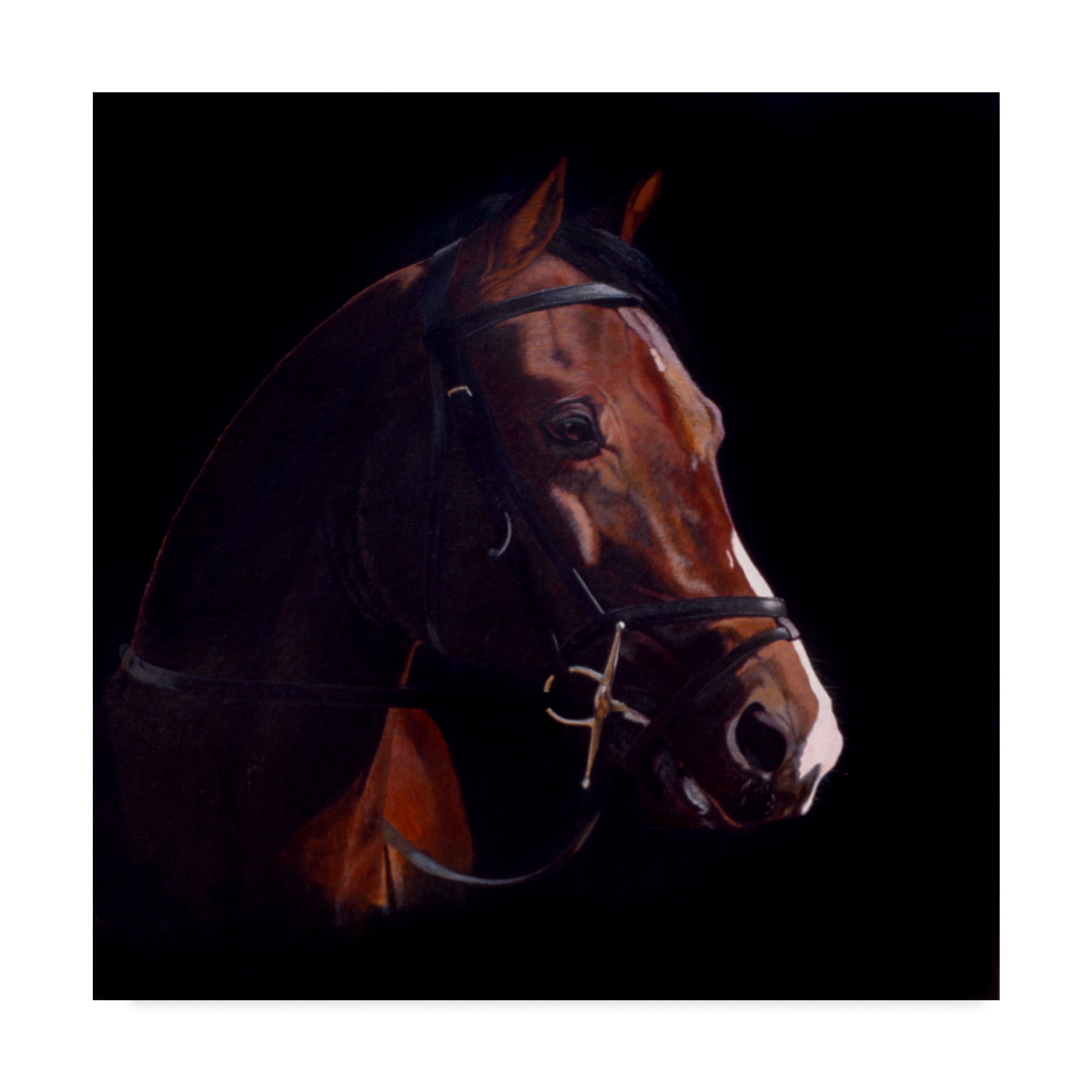 Trademark Fine Art 'Untitled' Canvas Art by Rusty Frentner