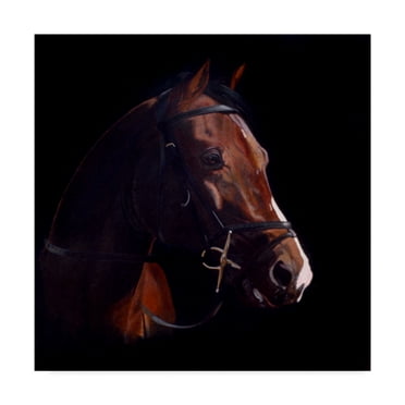 Trademark Fine Art 'Untitled' Canvas Art by Rusty Frentner