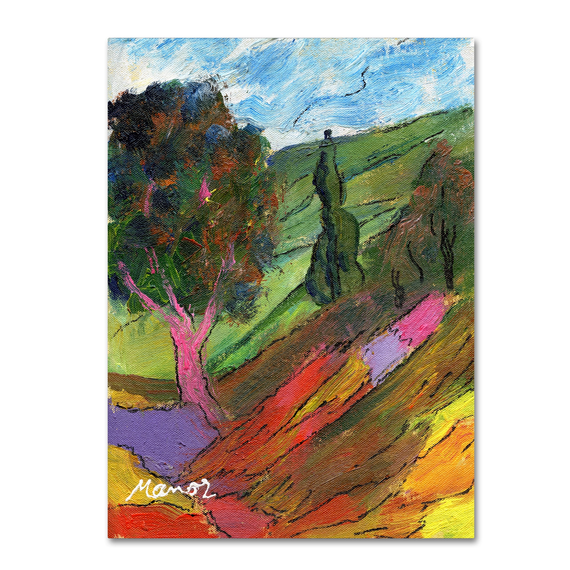 Trademark Fine Art "Untouched Hillside" Canvas Art by Manor Shadian