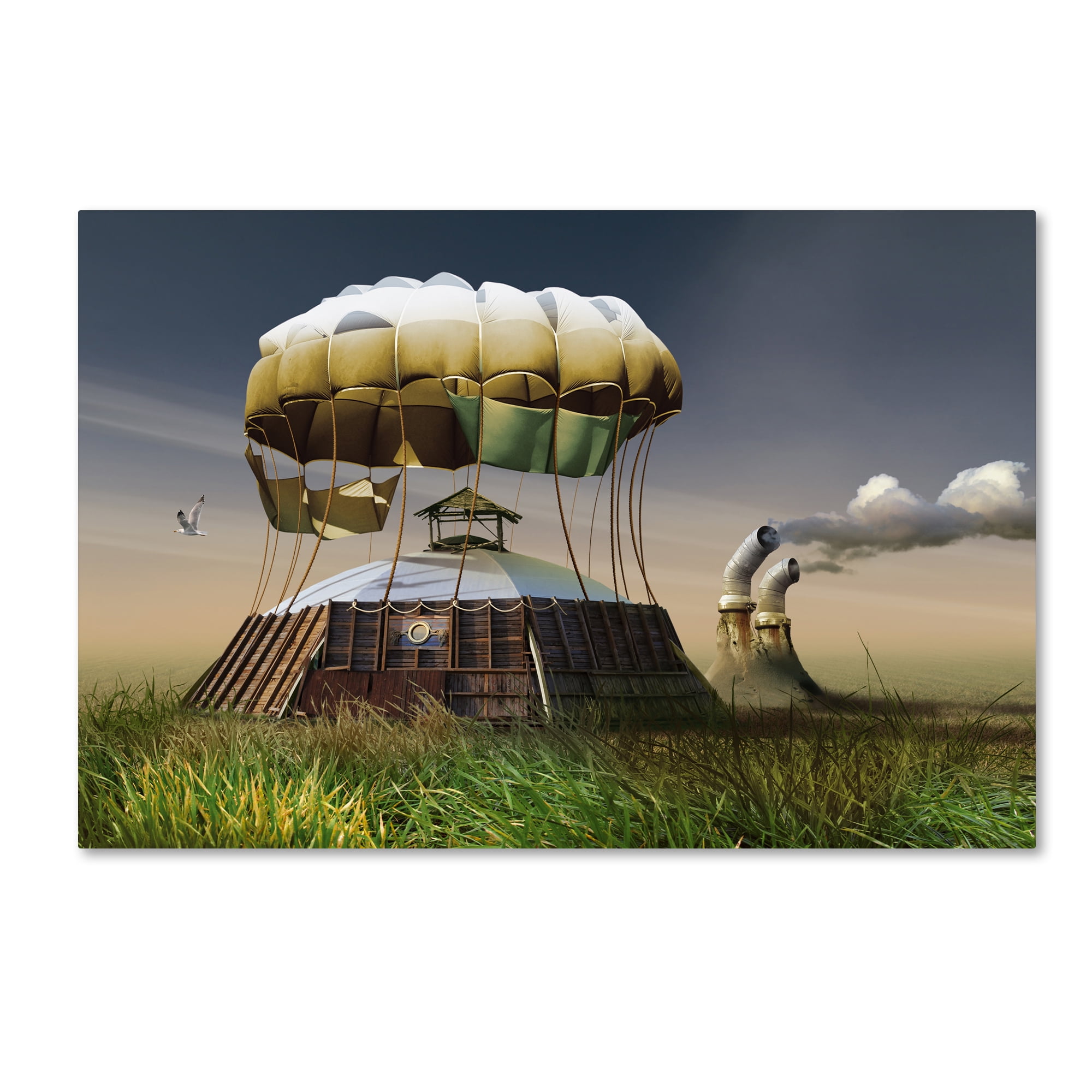 Trademark Fine Art 'Up In The Air' Canvas Art by Radoslav Penchev