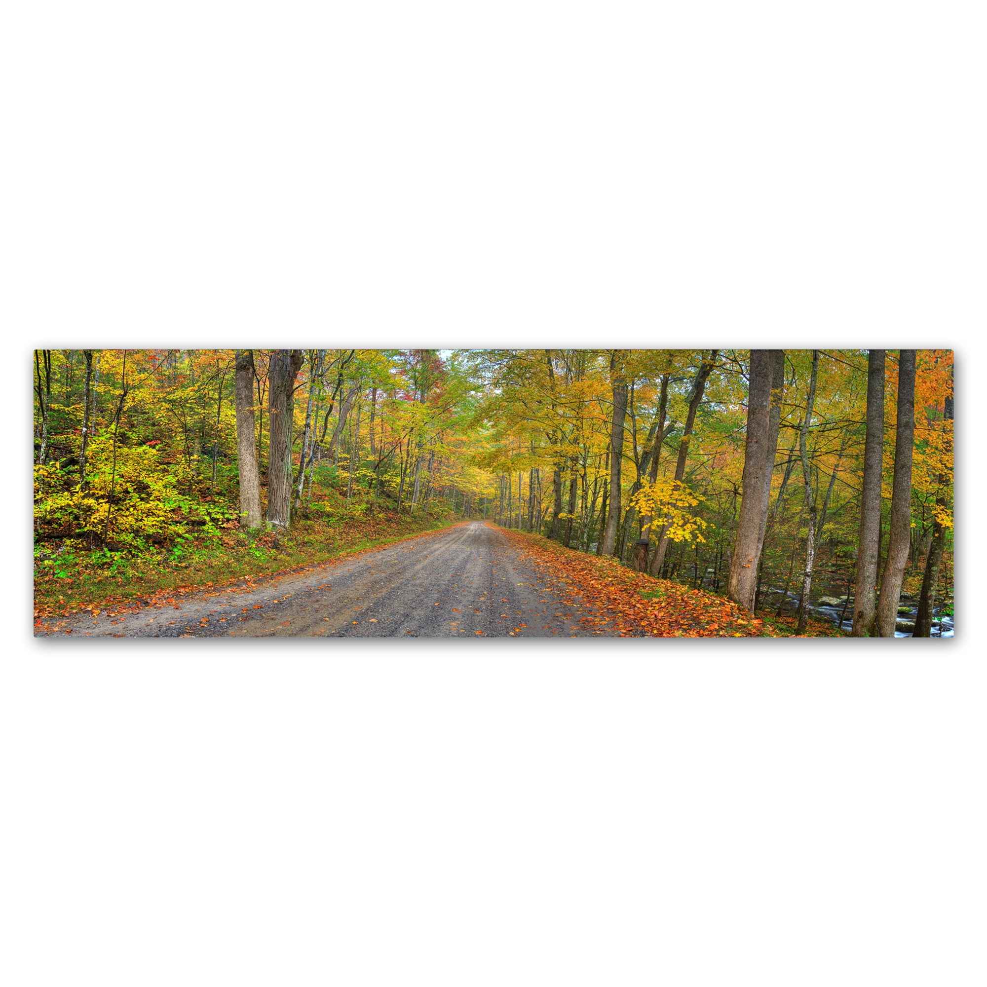 Trademark Fine Art 'Urban Bypass' Canvas Art by Doug Cavanah