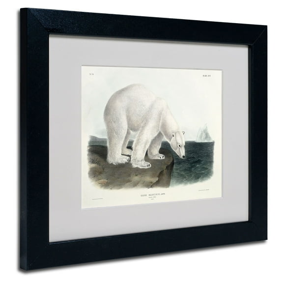 Trademark Fine Art "Ursus Maritimus Polar Bear" Canvas Art by John James Audubon, Black Frame
