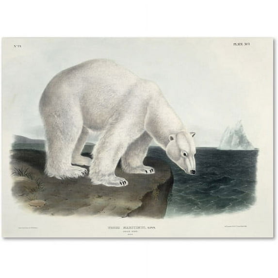 Trademark Fine Art "Ursus Maritimus Polar Bear" Canvas Art by John James Audubon