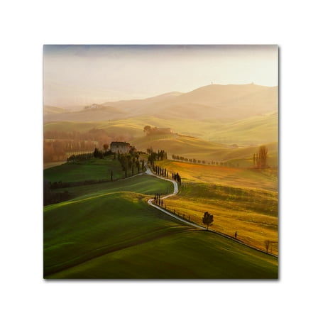 Trademark Fine Art 'Val D' Canvas Art by Jarek Pawlak