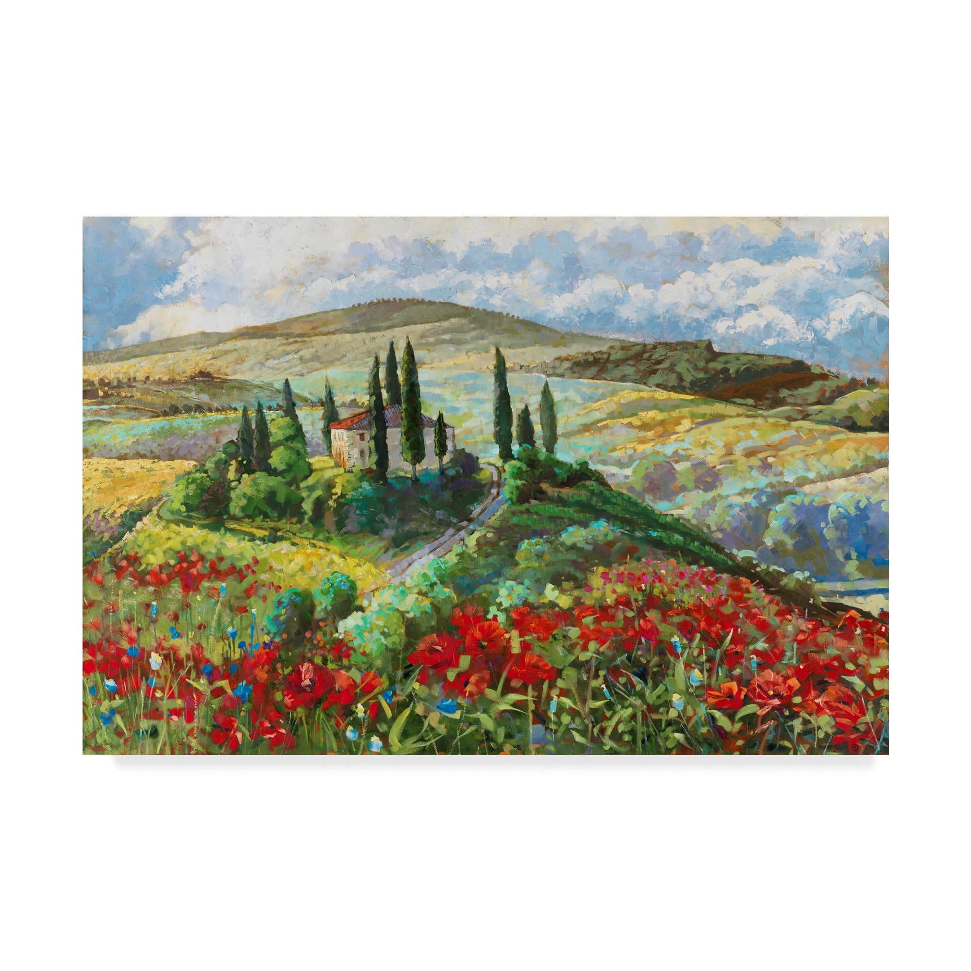 Trademark Fine Art 'Val Darcie' Canvas Art by Cecile Broz