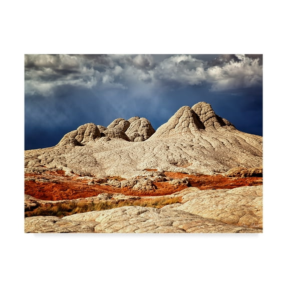 Trademark Fine Art 'Valley Beauty I' Canvas Art by David Drost