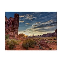 Trademark Fine Art 'Valley Beauty IV' Canvas Art by David Drost