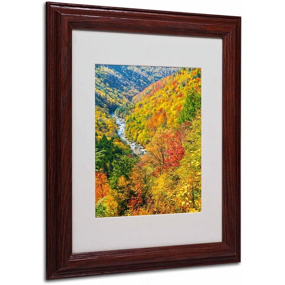Trademark Fine Art "Valley" Canvas Art by CATeyes, Wood Frame