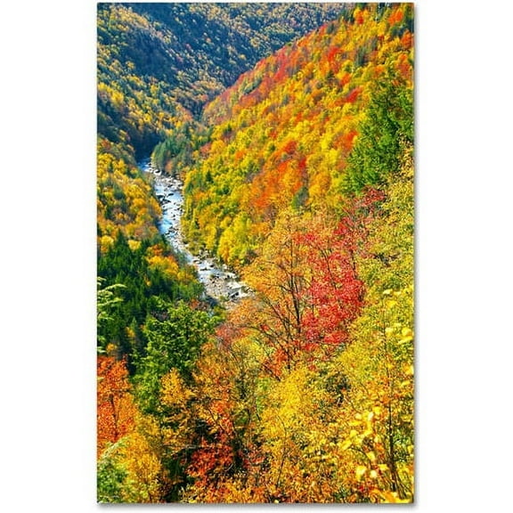 Trademark Fine Art "Valley" Canvas Art by CATeyes