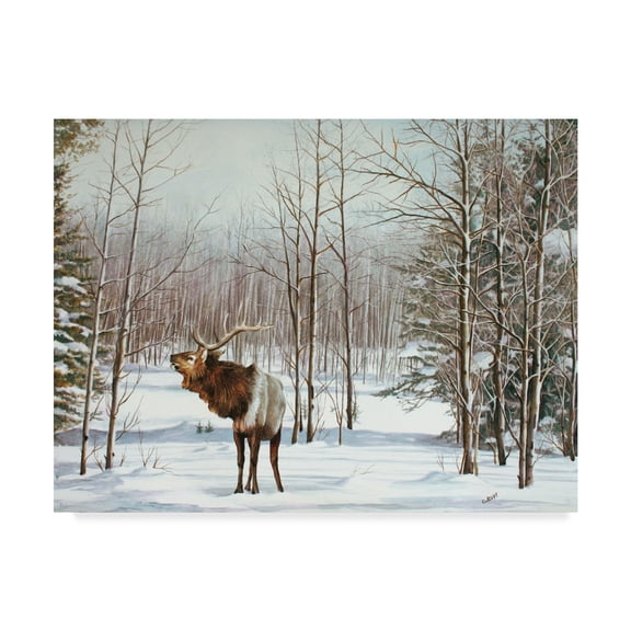 Trademark Fine Art 'Valley Of The Utes' Canvas Art by Carol J Rupp