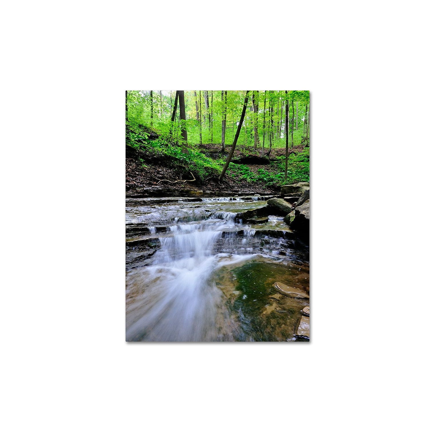 Trademark Fine Art 'Valley Stream' 22' x 32' Canvas Art