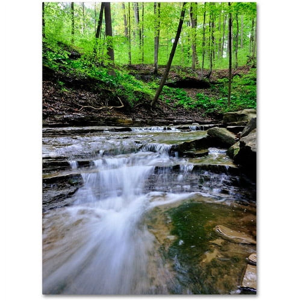 Trademark Fine Art "Valley Stream" Canvas Wall Art by Kurt Shaffer