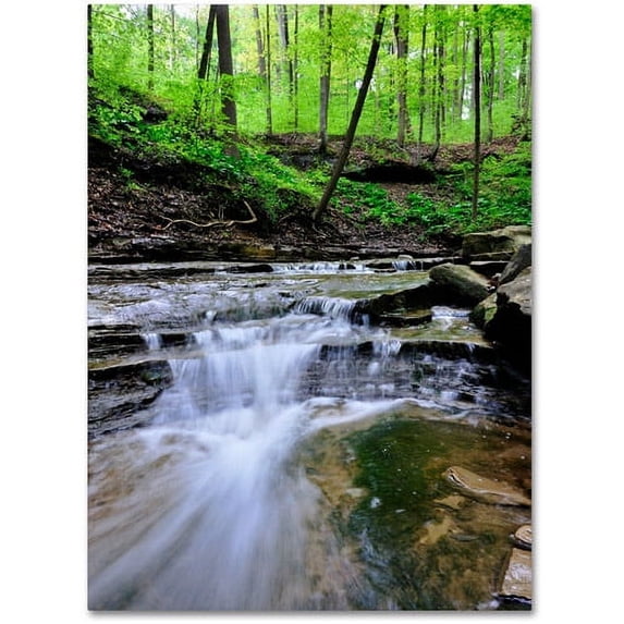 Trademark Fine Art "Valley Stream" Canvas Wall Art by Kurt Shaffer