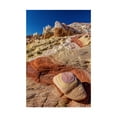 thumbnail image 1 of Trademark Fine Art 'Valley of Fire Rainbow Vista' Canvas Art by Pierre Leclerc, 1 of 3