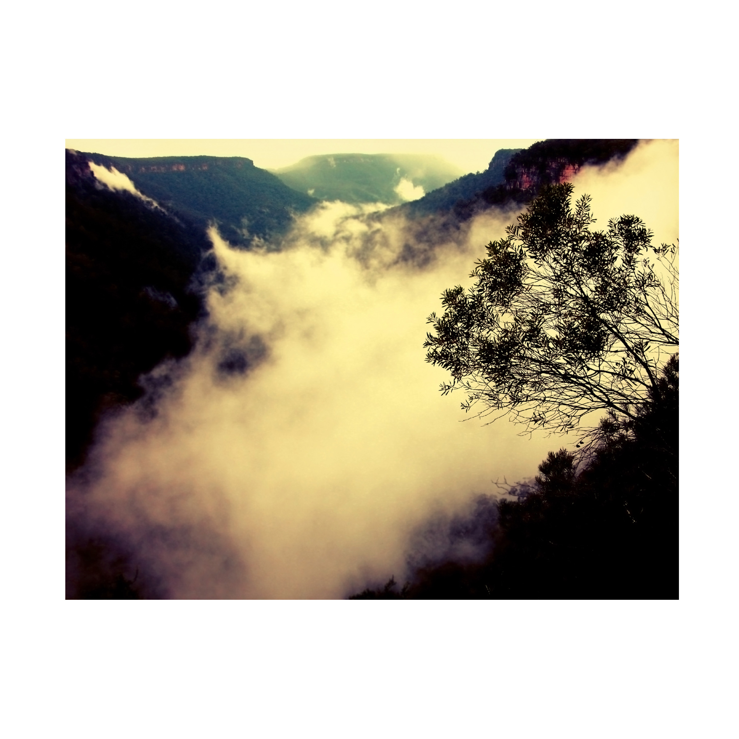 Trademark Fine Art "Valley of Light" Canvas Art by Beata Czyzowska Young