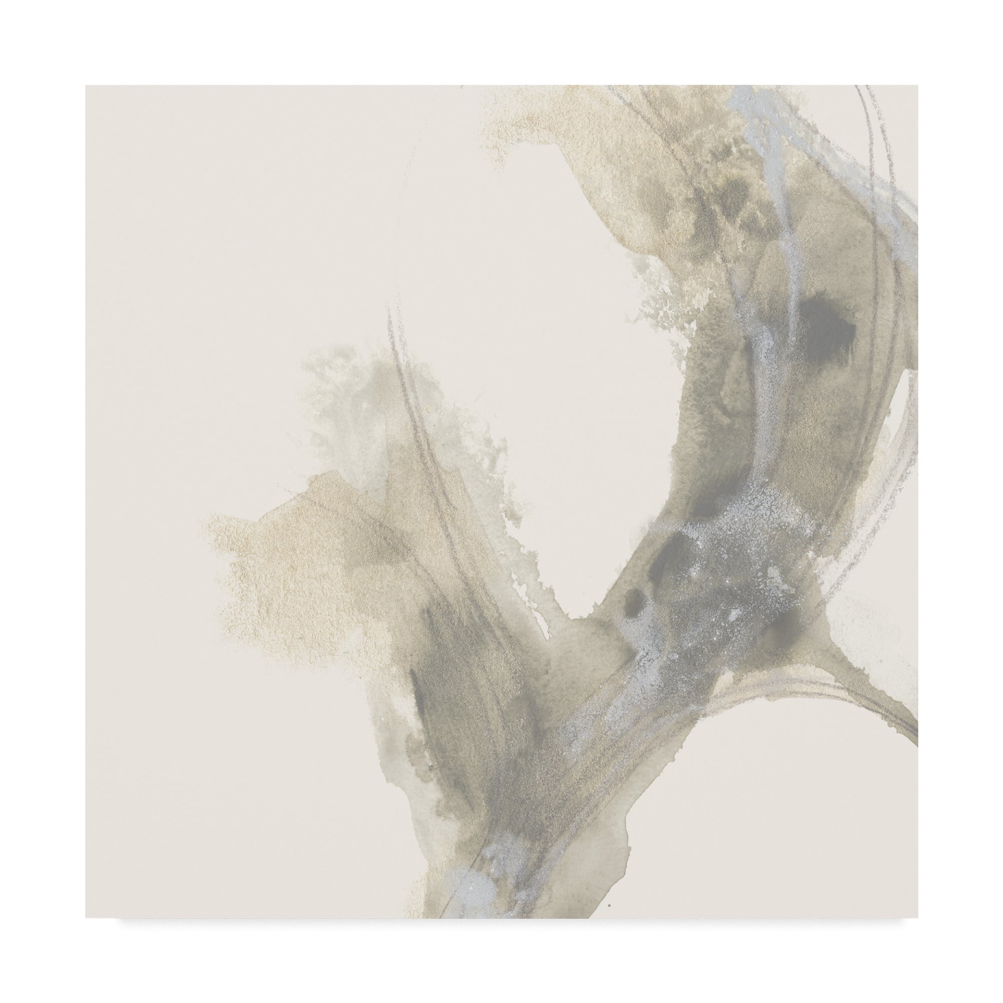 Trademark Fine Art 'Vapor 8' Canvas Art by June Erica Vess