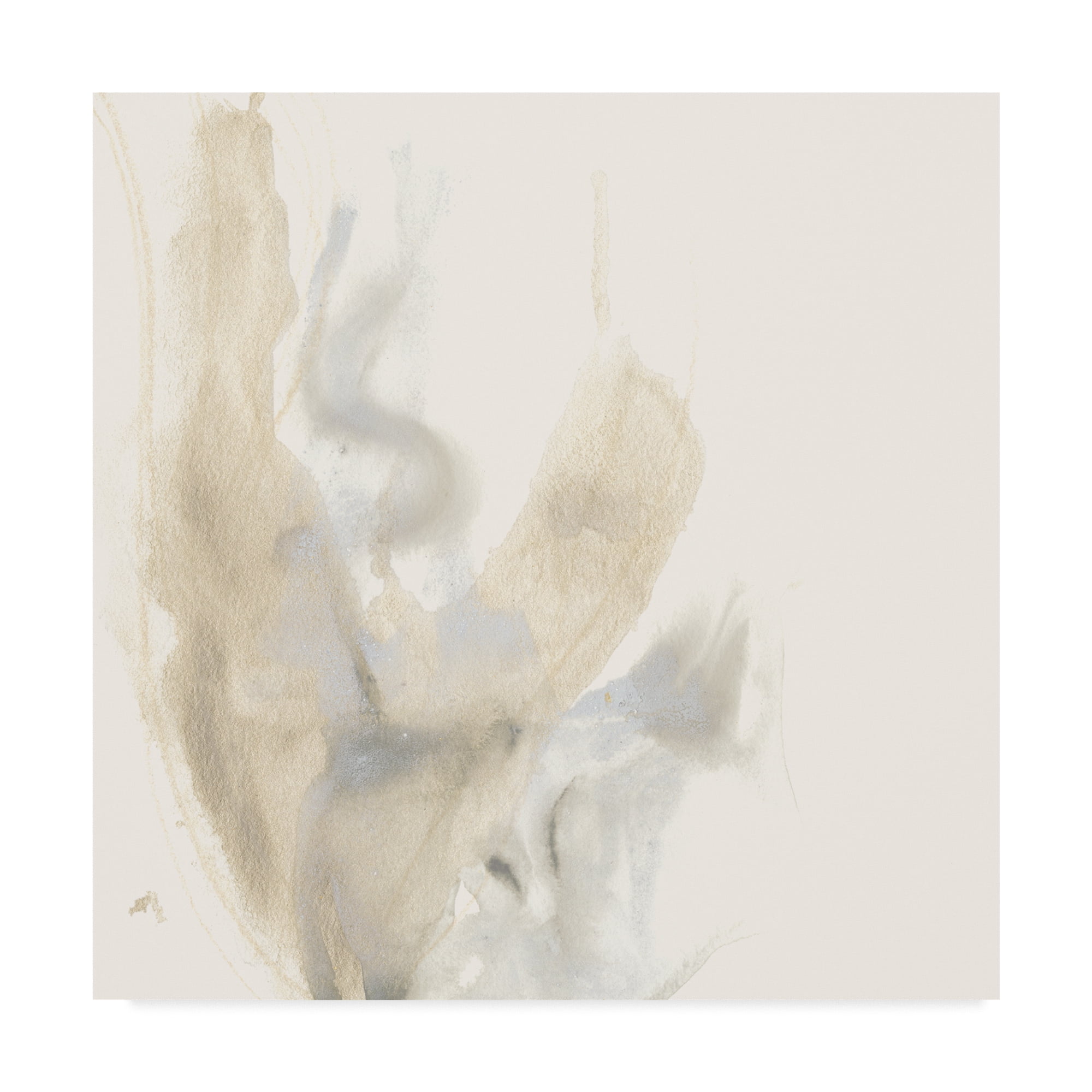 Trademark Fine Art 'Vapor IX' Canvas Art by June Erica Vess
