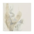 thumbnail image 1 of Trademark Fine Art 'Vapor IX' Canvas Art by June Erica Vess, 1 of 4