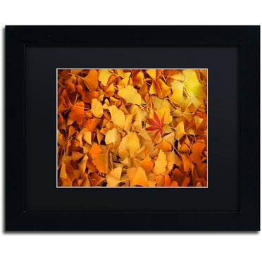 Trademark Fine Art "Variegated" Canvas Art by Philippe Sainte-Laudy Black Matte, Black Frame