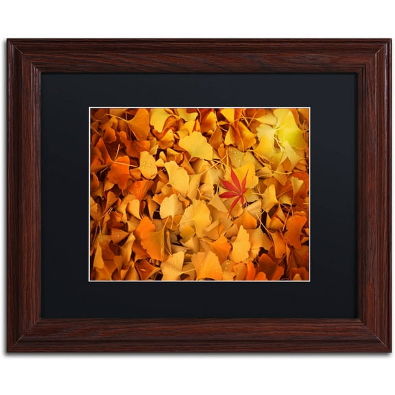 Trademark Fine Art "Variegated" Canvas Art by Philippe Sainte-Laudy Black Matte, Wood Frame