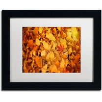 Trademark Fine Art "Variegated" Canvas Art by Philippe Sainte-Laudy White Matte, Black Frame