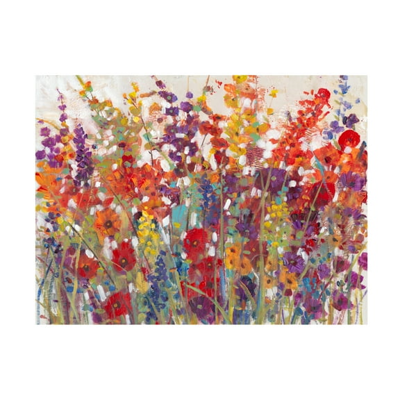 Trademark Fine Art Tim OToole Variety Of Flowers Ii Canvas Wall Art - 35x47