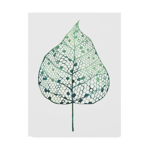 Trademark Fine Art 'Veiled Leaf I' Canvas Art by Grace Popp