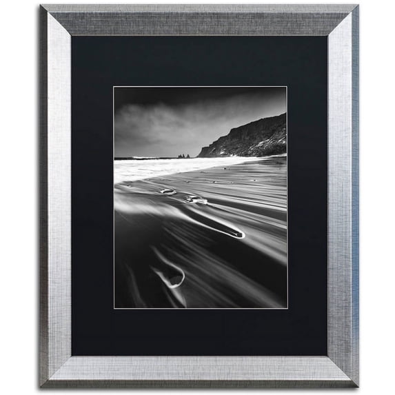 Trademark Fine Art "Veins of the Sea" Canvas Art by Mathieu Rivrin, Black Matte, Silver Frame