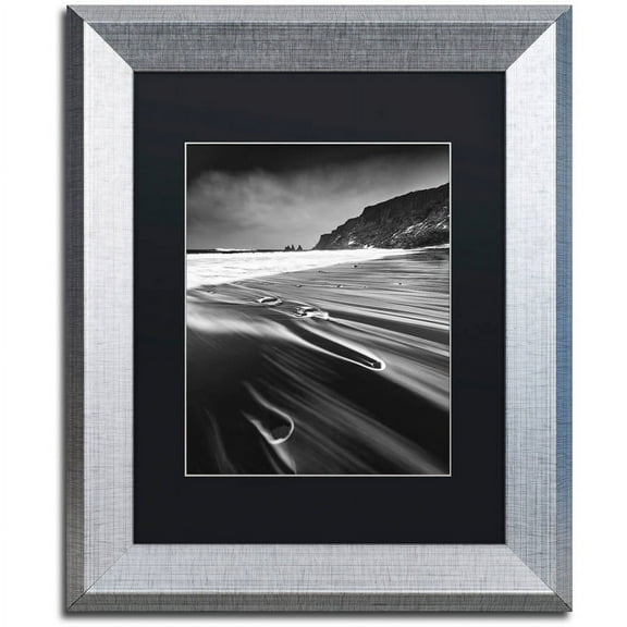 Trademark Fine Art "Veins of the Sea" Canvas Art by Mathieu Rivrin, Black Matte, Silver Frame
