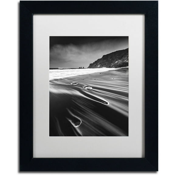 Trademark Fine Art "Veins of the Sea" Canvas Art by Mathieu Rivrin, White Matte, Black Frame