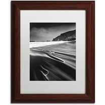 Trademark Fine Art "Veins of the Sea" Canvas Art by Mathieu Rivrin, White Matte, Wood Frame