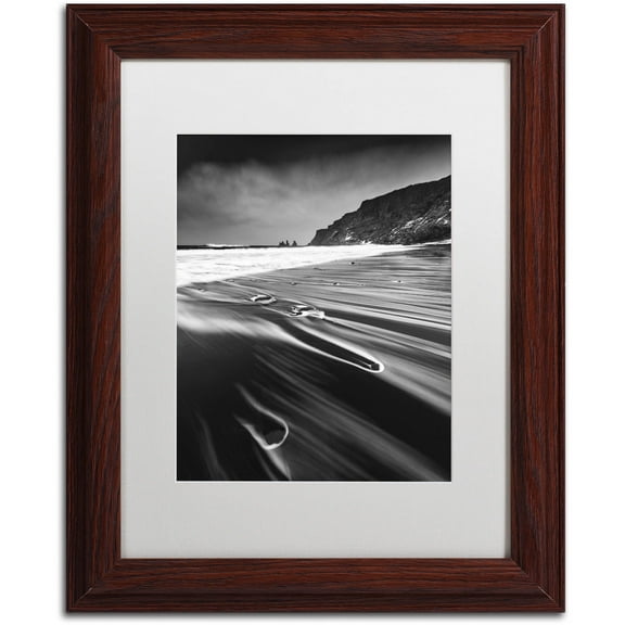 Trademark Fine Art "Veins of the Sea" Canvas Art by Mathieu Rivrin, White Matte, Wood Frame