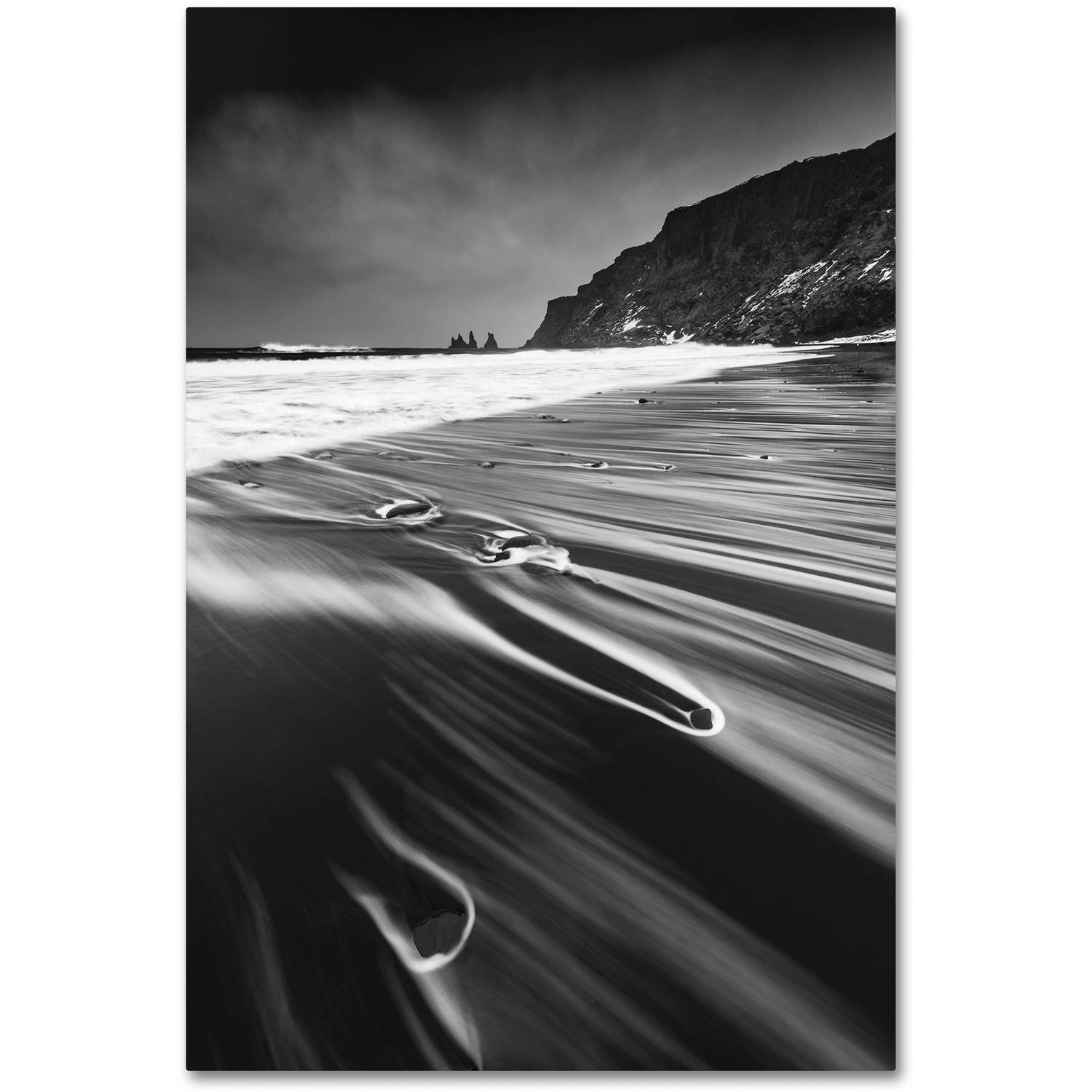 Trademark Fine Art "Veins of the Sea" Canvas Art by Mathieu Rivrin