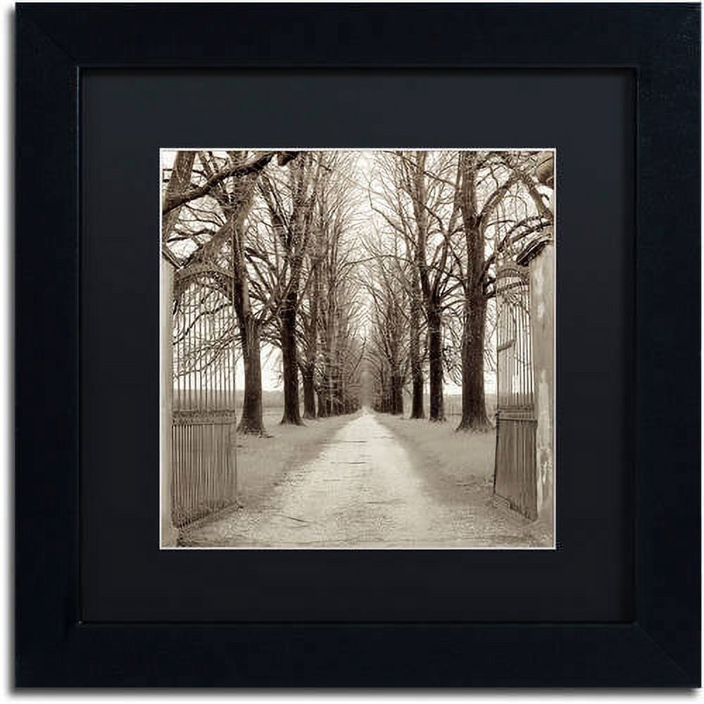 Trademark Fine Art "Veneto Giardini I" Canvas Art by Alan Blaustein, Black Matte, Black Frame