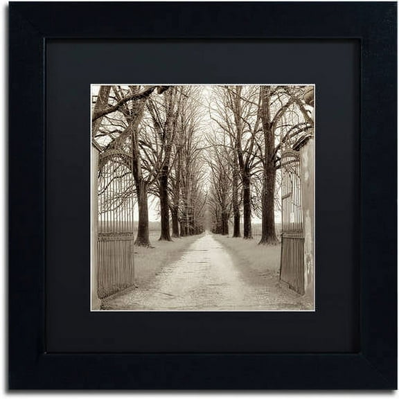 Trademark Fine Art "Veneto Giardini I" Canvas Art by Alan Blaustein, Black Matte, Black Frame
