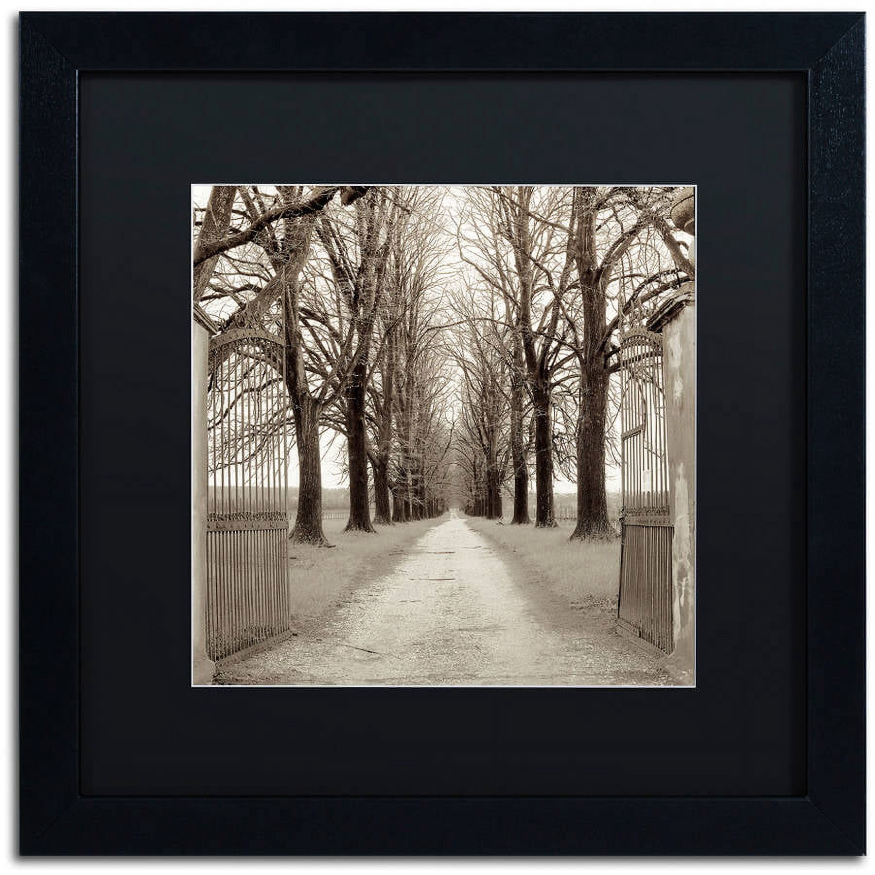 Trademark Fine Art "Veneto Giardini I" Canvas Art by Alan Blaustein, Black Matte, Black Frame