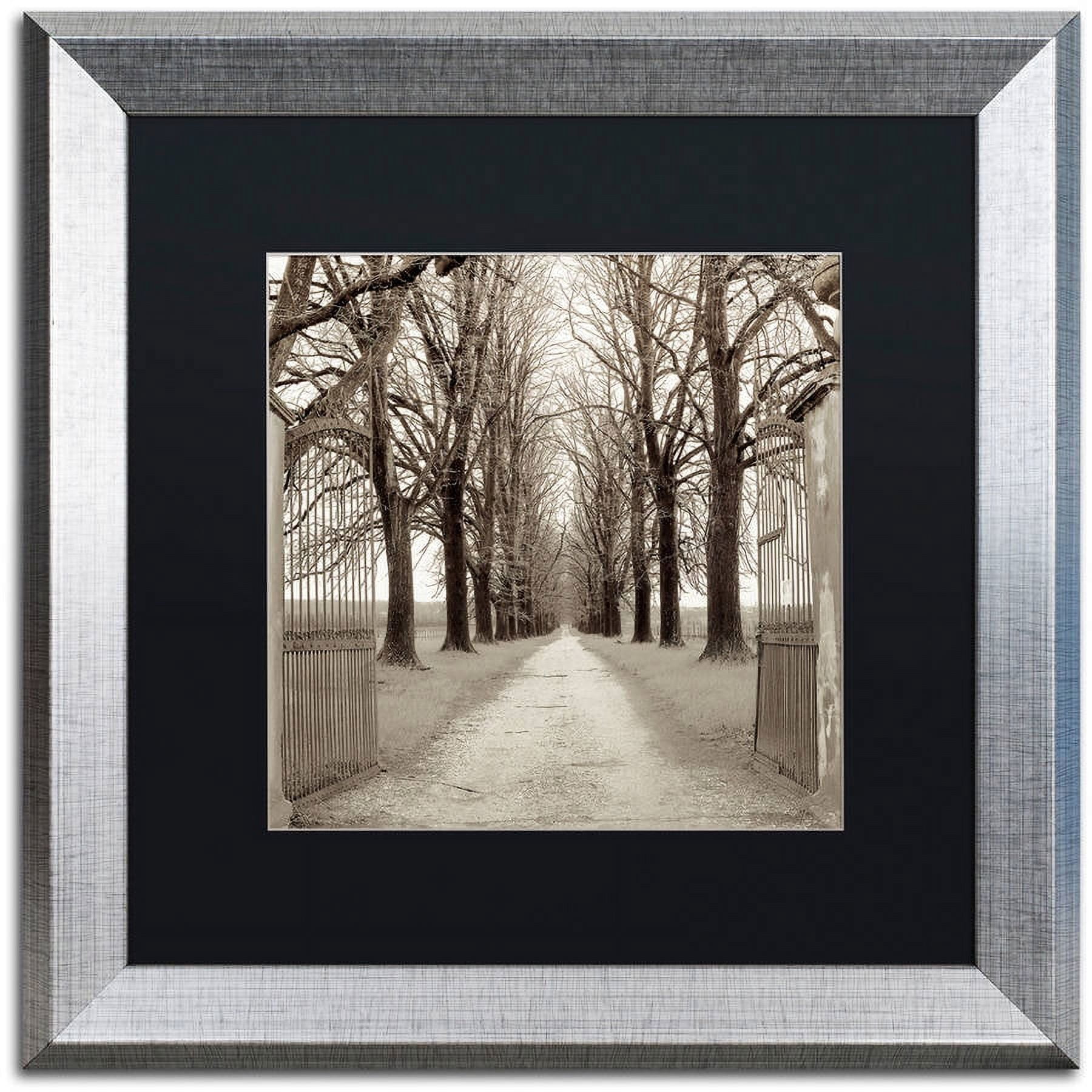 Trademark Fine Art "Veneto Giardini I" Canvas Art by Alan Blaustein, Black Matte, Silver Frame