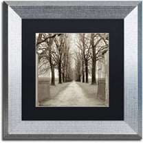 Trademark Fine Art "Veneto Giardini I" Canvas Art by Alan Blaustein, Black Matte, Silver Frame