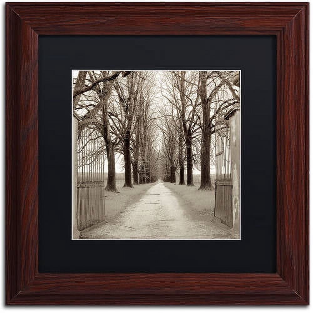 Trademark Fine Art "Veneto Giardini I" Canvas Art by Alan Blaustein, Black Matte, Wood Frame