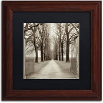 Trademark Fine Art "Veneto Giardini I" Canvas Art by Alan Blaustein, Black Matte, Wood Frame