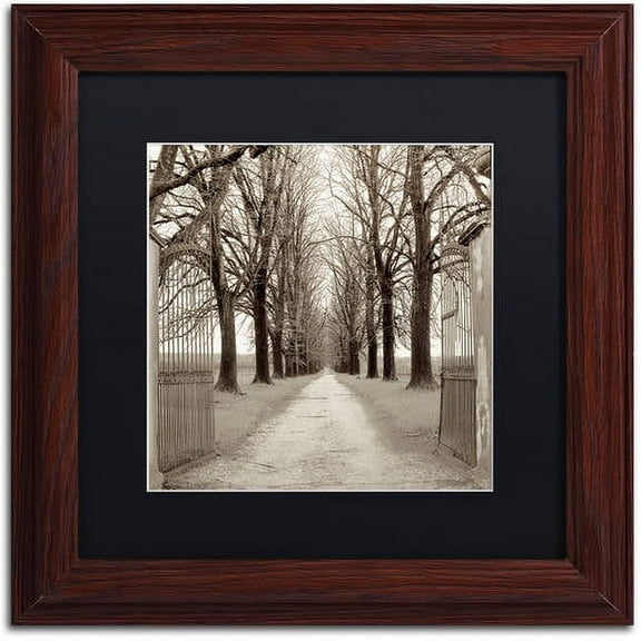 Trademark Fine Art "Veneto Giardini I" Canvas Art by Alan Blaustein, Black Matte, Wood Frame