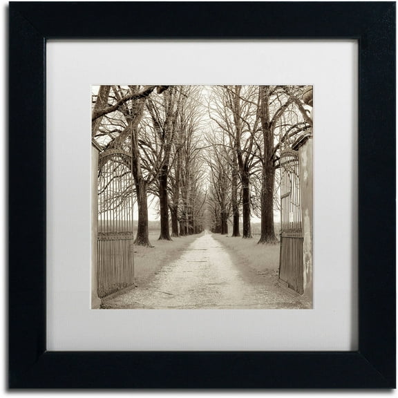 Trademark Fine Art "Veneto Giardini I" Canvas Art by Alan Blaustein, White Matte, Black Frame