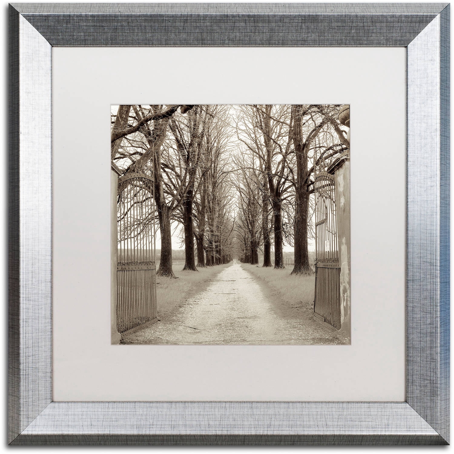 Trademark Fine Art "Veneto Giardini I" Canvas Art by Alan Blaustein, White Matte, Silver Frame