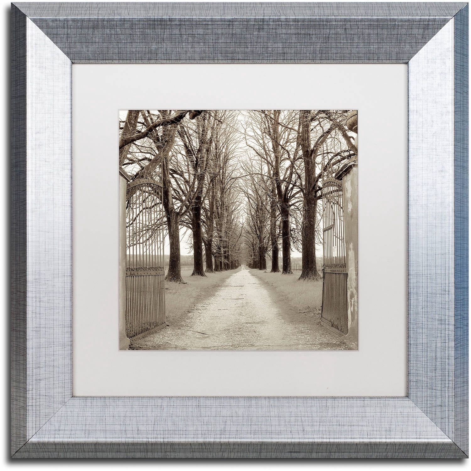 Trademark Fine Art "Veneto Giardini I" Canvas Art by Alan Blaustein, White Matte, Silver Frame
