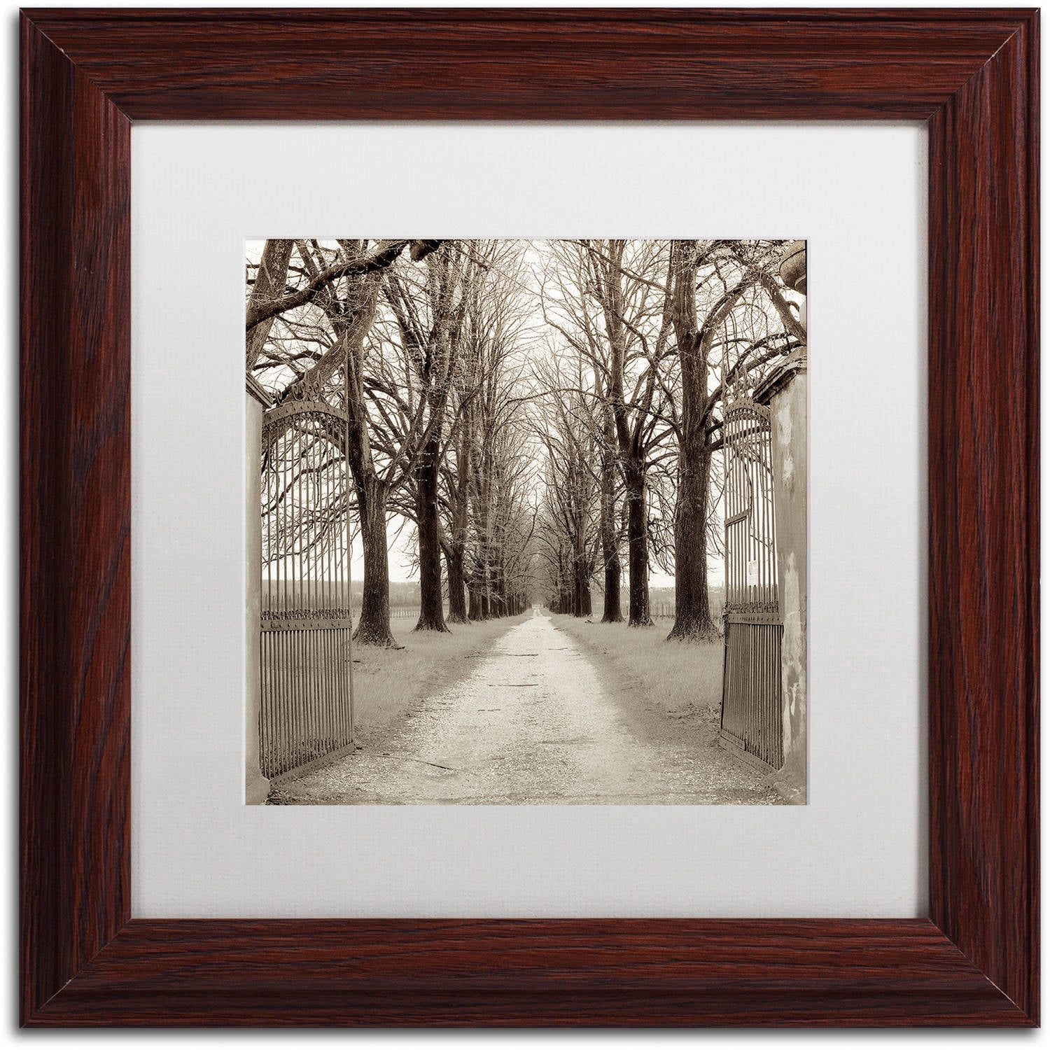 Trademark Fine Art "Veneto Giardini I" Canvas Art by Alan Blaustein, White Matte, Wood Frame