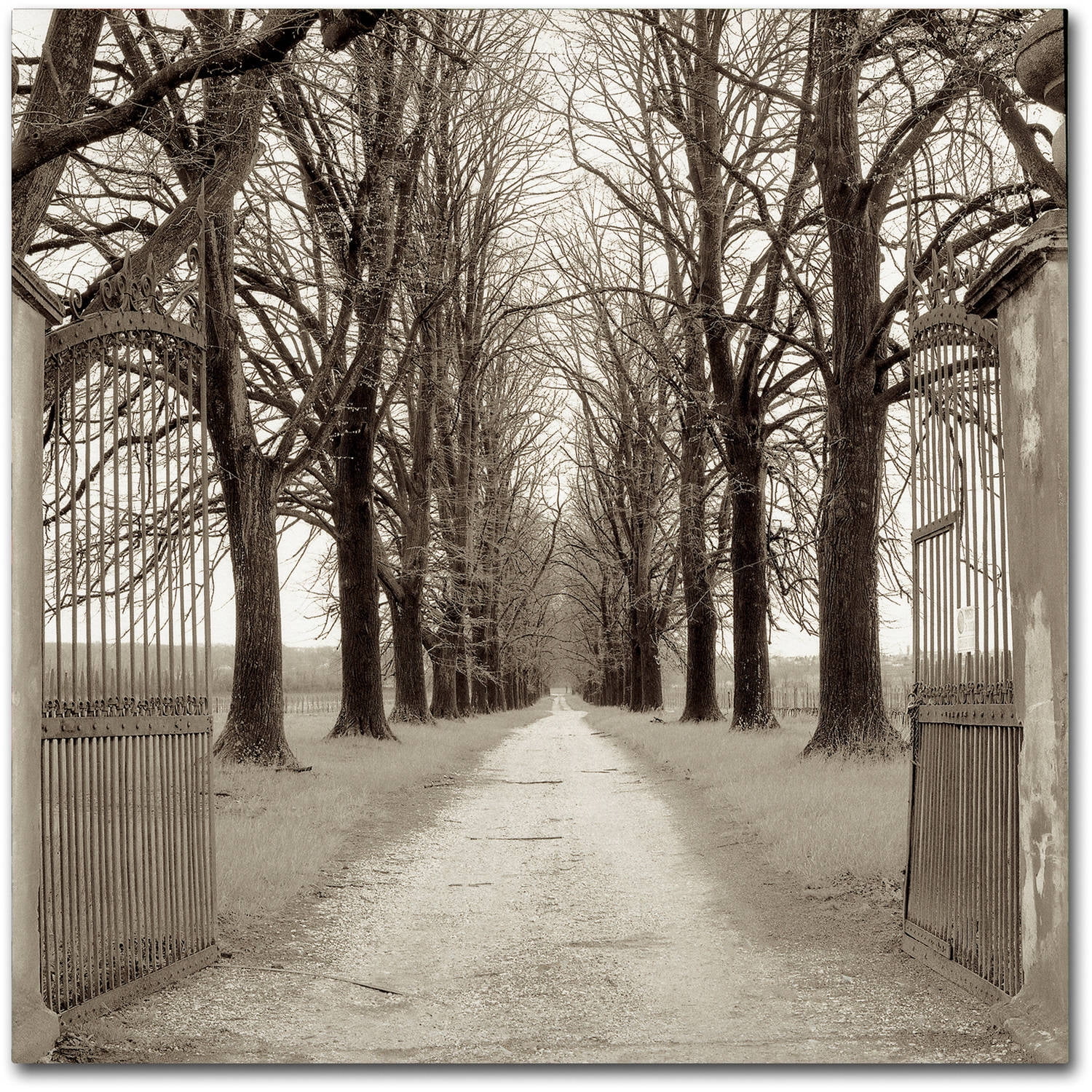 Trademark Fine Art "Veneto Giardini I" Canvas Art by Alan Blaustein