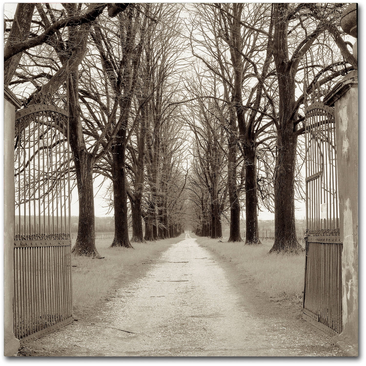 Trademark Fine Art "Veneto Giardini I" Canvas Art by Alan Blaustein