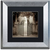 Trademark Fine Art "Venezia V" Canvas Art by Alan Blaustein, Black Matte, Silver Frame