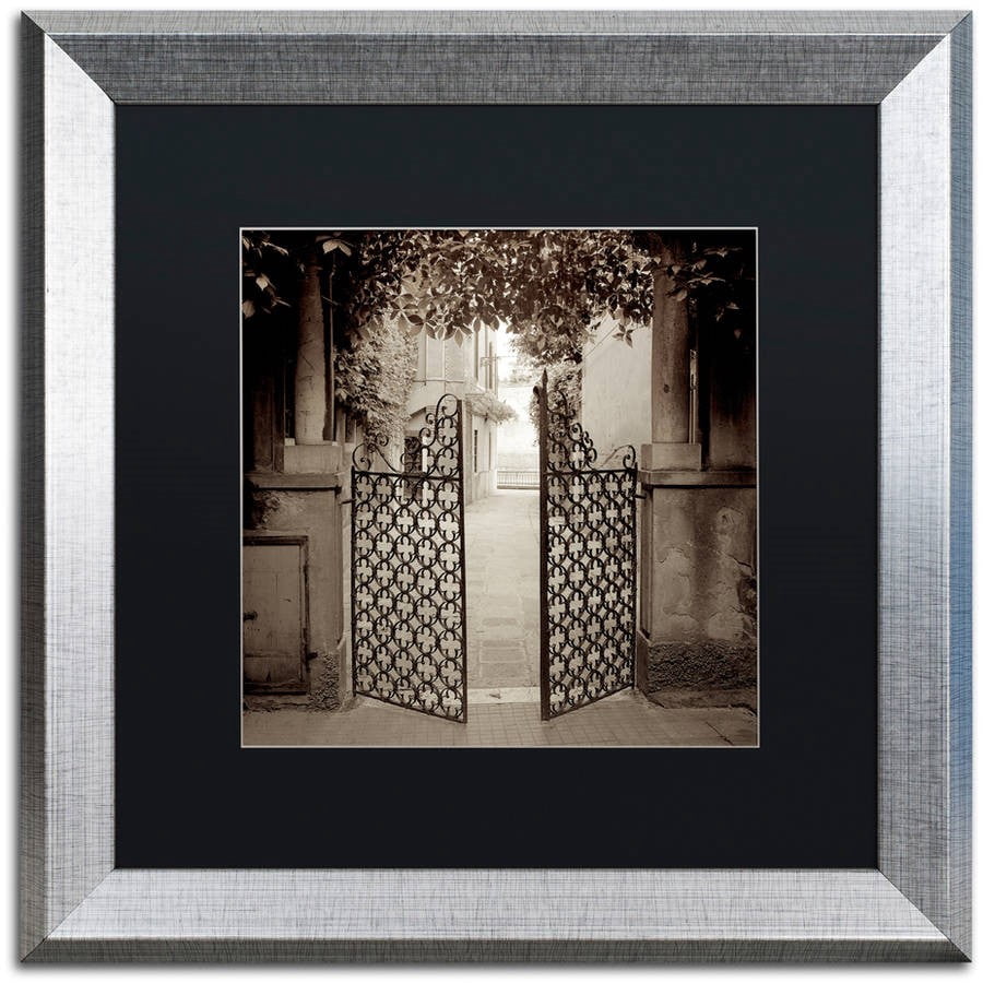 Trademark Fine Art "Venezia V" Canvas Art by Alan Blaustein, Black Matte, Silver Frame
